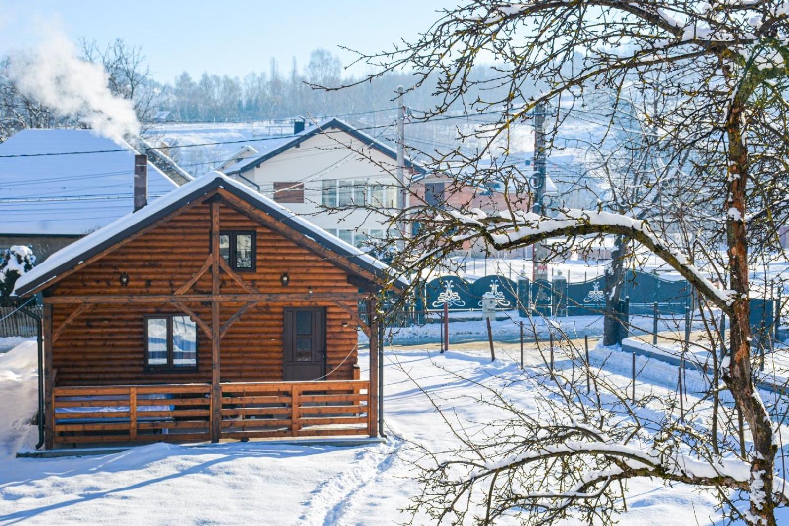 Casuta Adelina Borsa Villa Exterior foto